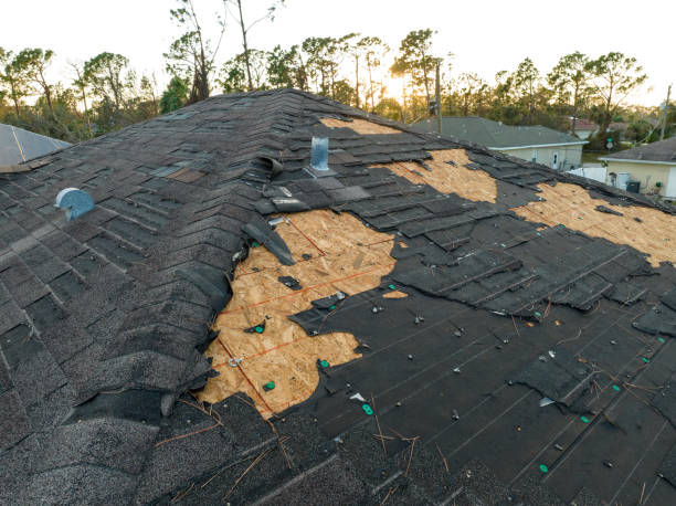 Professional Roofing Services in East Rutherford, NJ